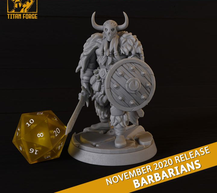 Barbarian Heroes