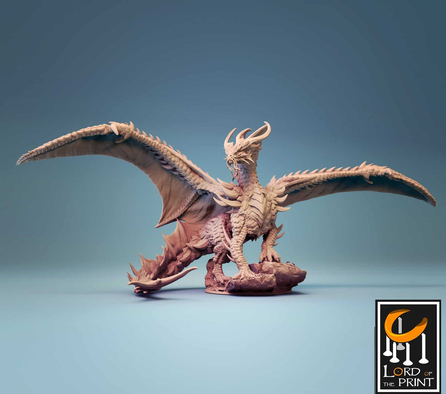 Gouden Draak (Gold Dragon)