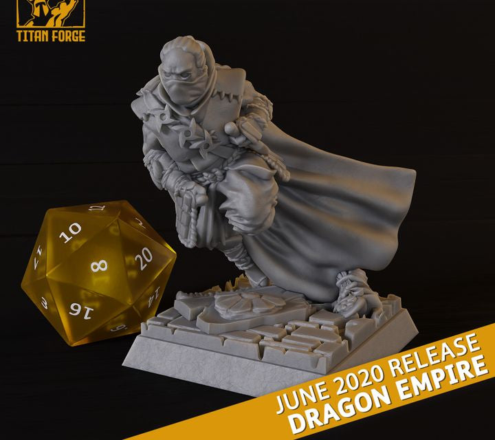 Ninjas Dragon Empire