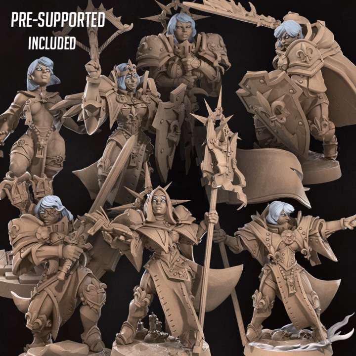 Fantasy War Sisters (Poses)(Modular)