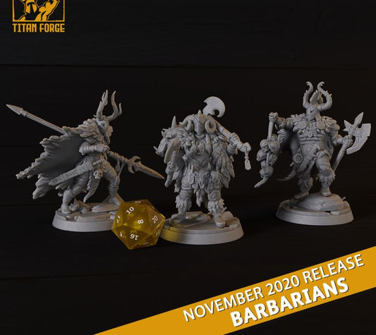 Barbarian Heroes Set