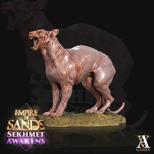 Sfinx (Sphynx Cat)