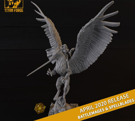 Mage On Griffin