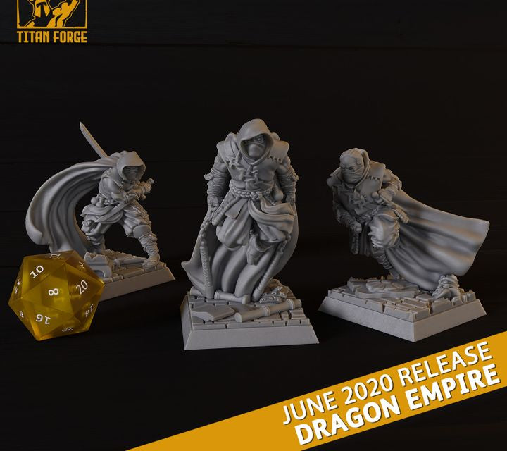 Ninjas Dragon Empire