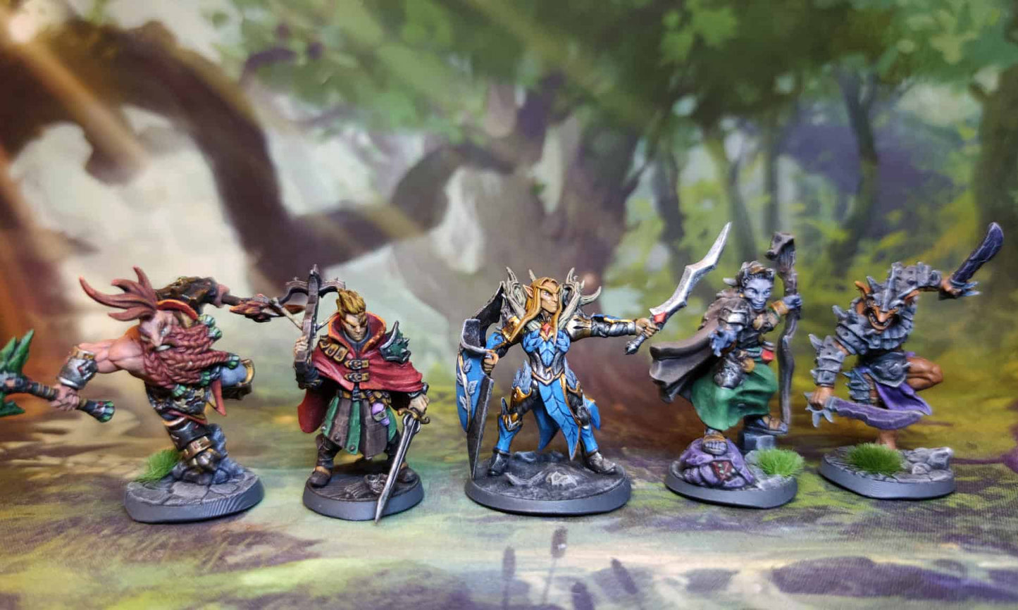 D&D avonturiers set 2 (adventuring party)